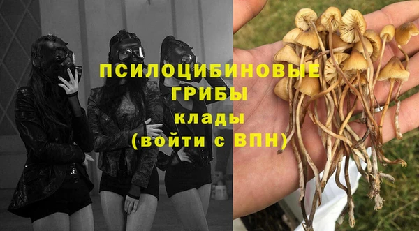 кокс Богданович